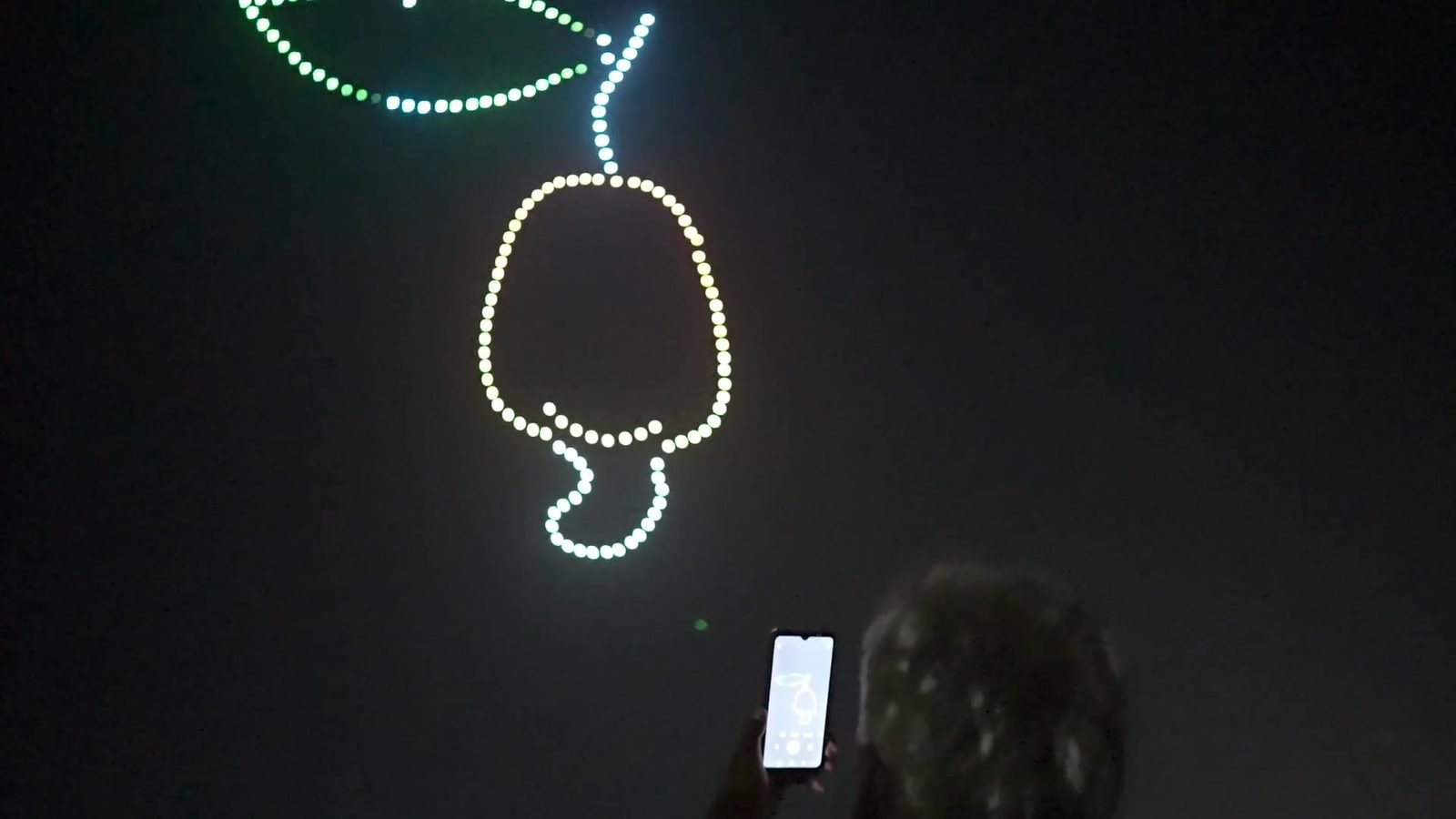 The cashew fruit drawn in drone lights